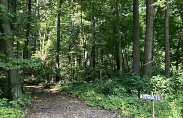 Cozy Bungalow Rental Perfect for Glamping in Michigan - Foto 9