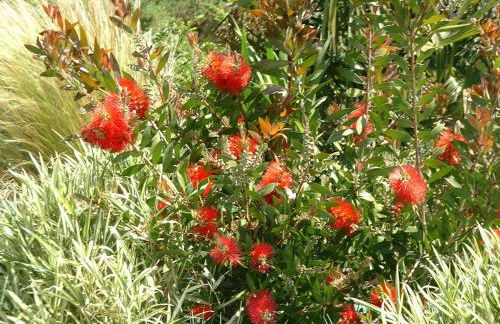 La Bergerie - Foto 18