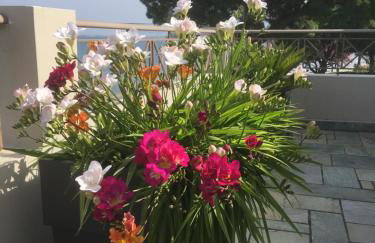 Villa Markos - Foto 10