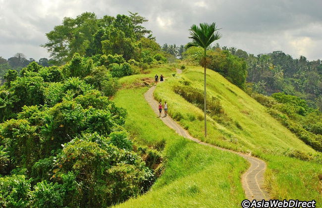 The Mahogany Villa - Foto 79