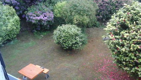 Maison Lallier - Foto 5, Garden