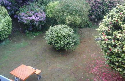 Maison Lallier - Foto 5