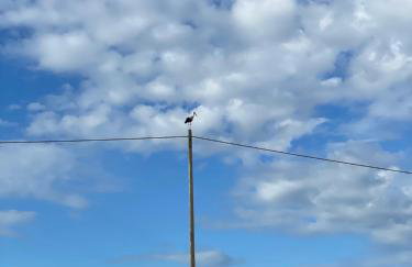 Dwa Żurawie - Głuszyn - Foto 58