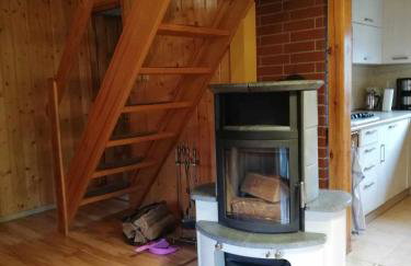 Domek letniskowy Pod brzozami Pszczew - Foto 16