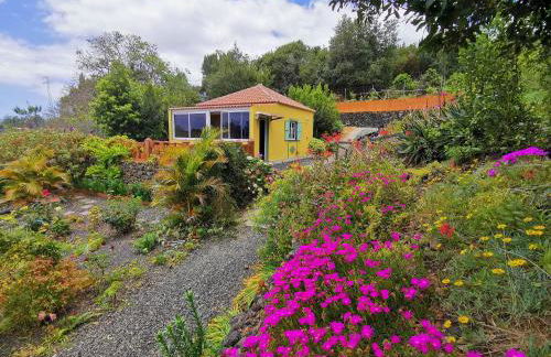 Iraña del bosque - Foto 13