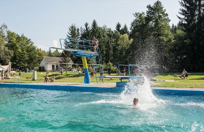 Ferienhaus Lichtung - Photo 27
