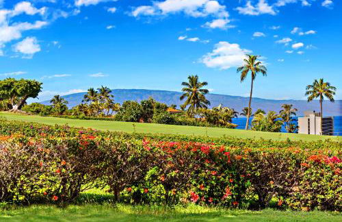 Kaanapali Plantation 54 - Photo 36