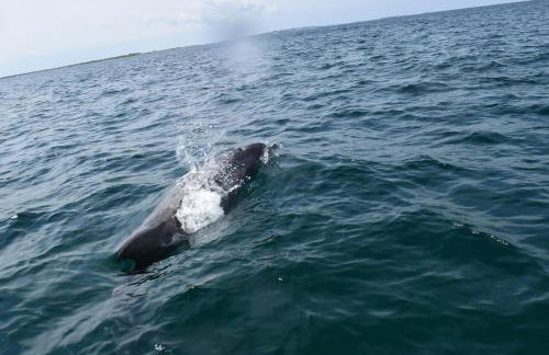 Le Clos de la Pointe Saint-Mathieu - Photo 25