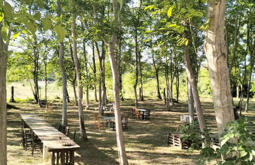 AGRITURISMO TERRAPIA - Foto 55