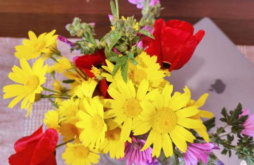 stone house - Evdilos Icaria - Photo 9