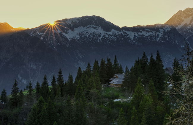 Koca Bistra - Velika planina - Foto 55