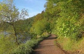 Ferienwohnung Pusteblume - Foto 28