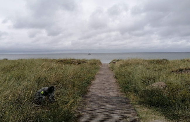 Serene Holiday Home in Zealand near Sea - Foto 4