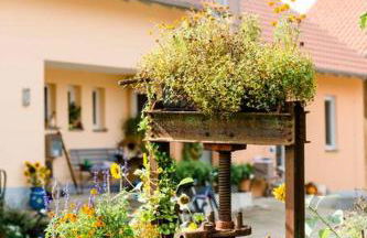 Ferienhof Obertor Brennerei - Foto 19