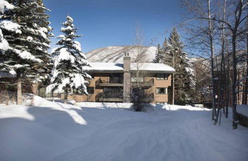 Capitol Peak Lodge by iTrip Aspen Snowmass - Photo 16