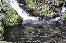 As Pagonas - Foto 39