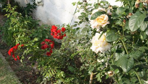 Apartments "NONO" - Foto 5