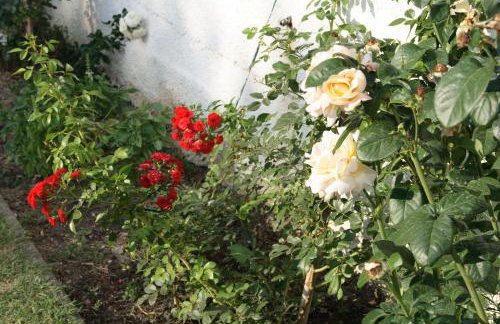 Apartments "NONO" - Foto 5