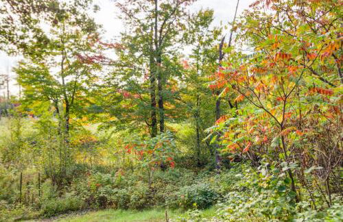 Fish, Hike and More Cozy Brainerd Cabin - Photo 29