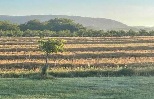 Appealing Apartment in Vezac With Swimming Pool - Foto 126