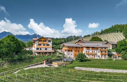 Trinnerhof- Hof Chalets und Obsthof - Photo 3