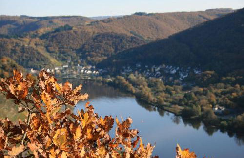 Witts Home from Home - Foto 43