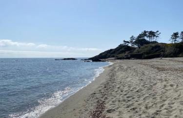 T2 VUE MER CORSE N193 - Foto 12