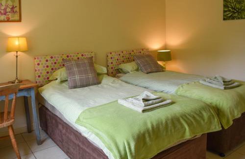 Lily Pad 6 - Uk43915 - Foto 7