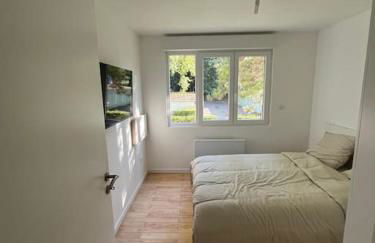 Olivier du ciel ODC - Photo 25