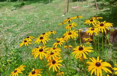 Apartman 2 - Foto 12