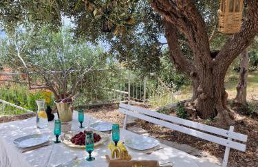 Apartment PANORAMA - amazing sea view, newly renovated - Photo 37