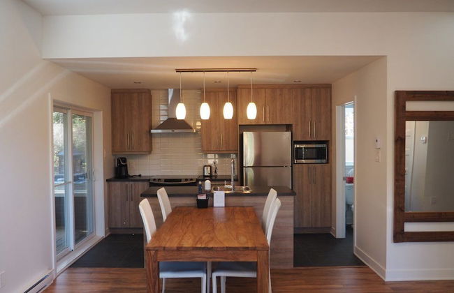 Domaine du parc de la forêt ouareau - Photo 19