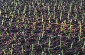 Make It Happen Farm - Photo 30