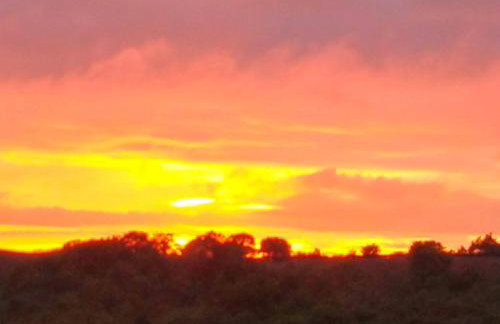 Torr Cottage - Foto 18