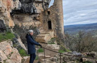 Manoir du Boscau, Louis IX - Foto 29