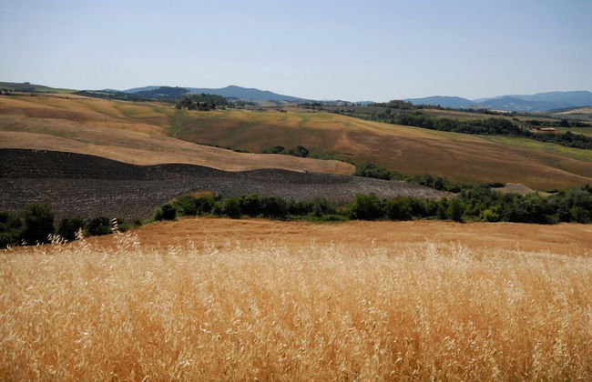 Agriturismo Mannaioni - Foto 33