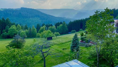 Ferienhaus mit 5* Luxus im Schwarzwald - Foto 3