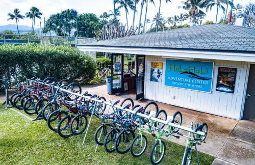 Oceanfront Vacation Villas at Turtle Bay - Foto 58