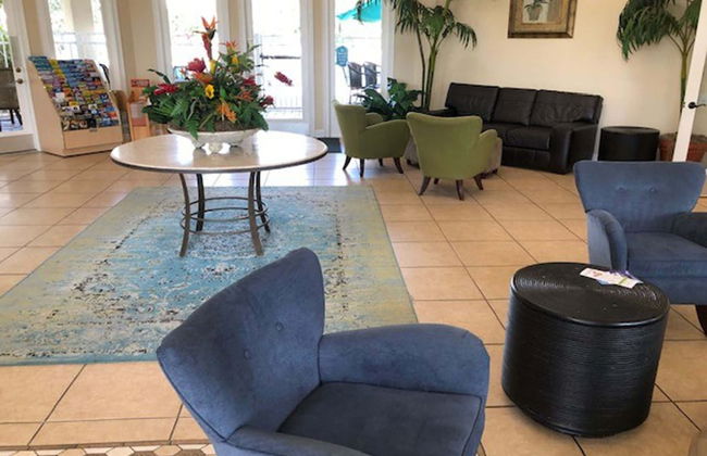 Sun Palm Paradise - Foto 16