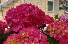 Holiday House Fantasy With Pool - Foto 74