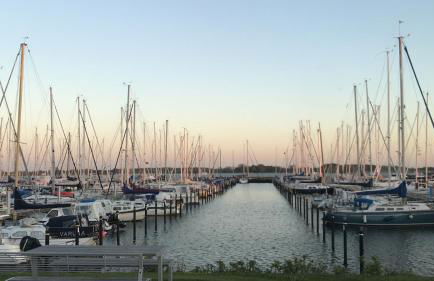 Schlei Idyll - Foto 52