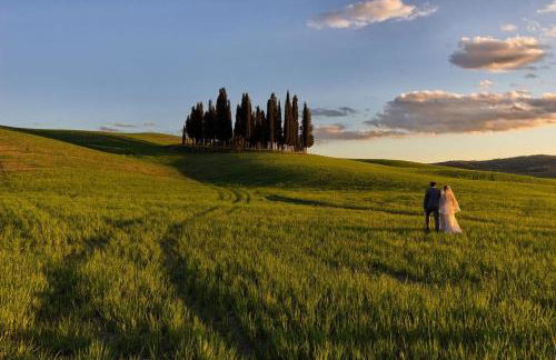 L' Antica Oliviera D'Orcia - Foto 43