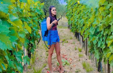 La casa dei nonni - Foto 65