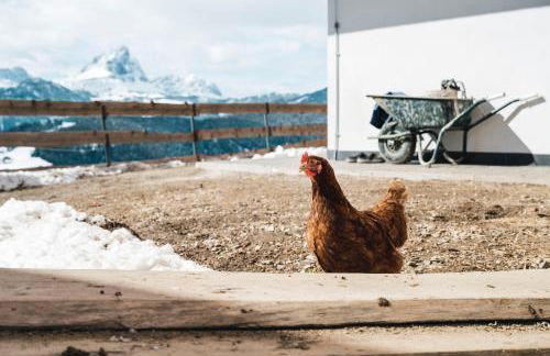 Sartu Apartments - Foto 44