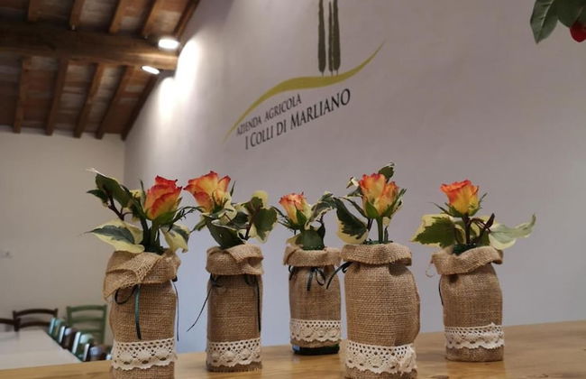 Azienda Agricola I Colli di Marliano - Photo 22