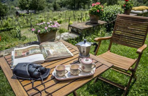 Villa Porcigliano Olive Grove - Foto 52