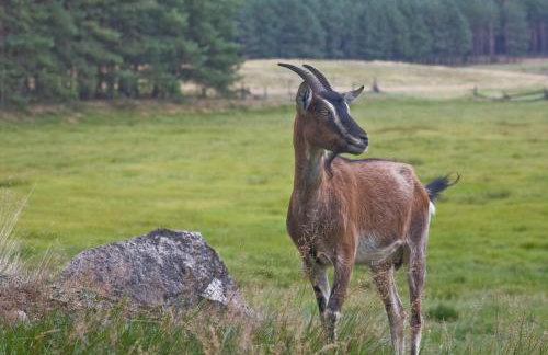 Agroturystyka Sominy - Foto 30