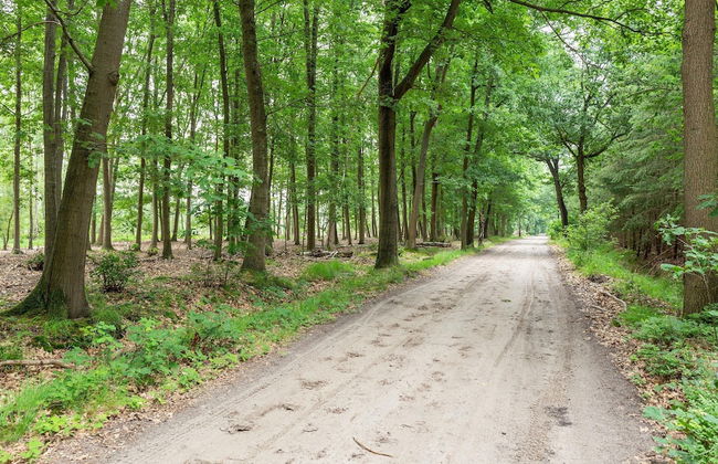 Attractive Holiday Home in Gorp and Roovert Estate - Photo 77