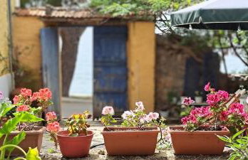 Yard of Epicurus - Η Αυλή του Επίκουρου - Foto 57