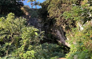 Casa Žerotín - Foto 45